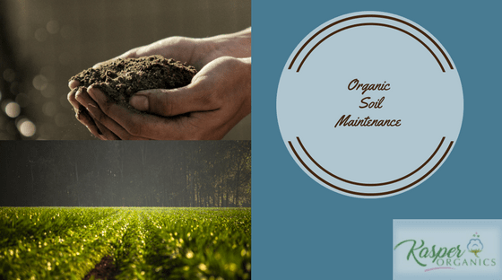 Organic Soil Maintenance for organic farms