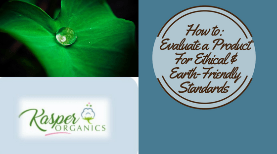 How to: Evaluate a Product for Ethical and Earth-Friendly Standards