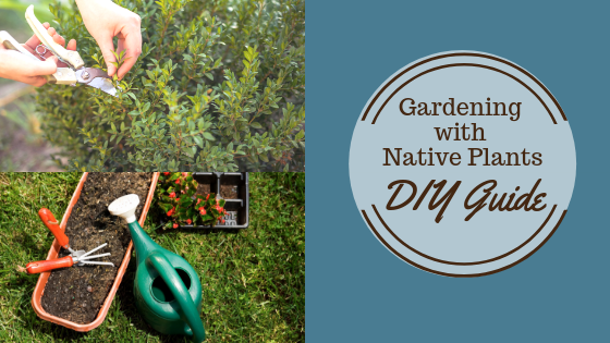 Gaardening with Native Plants DIY Guide